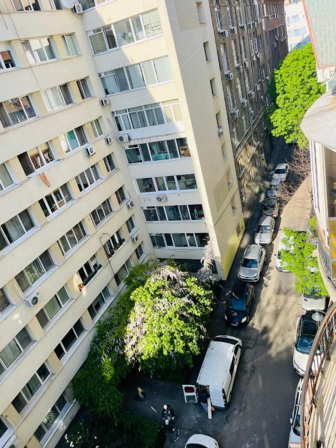 公寓 Cismigiu Park View