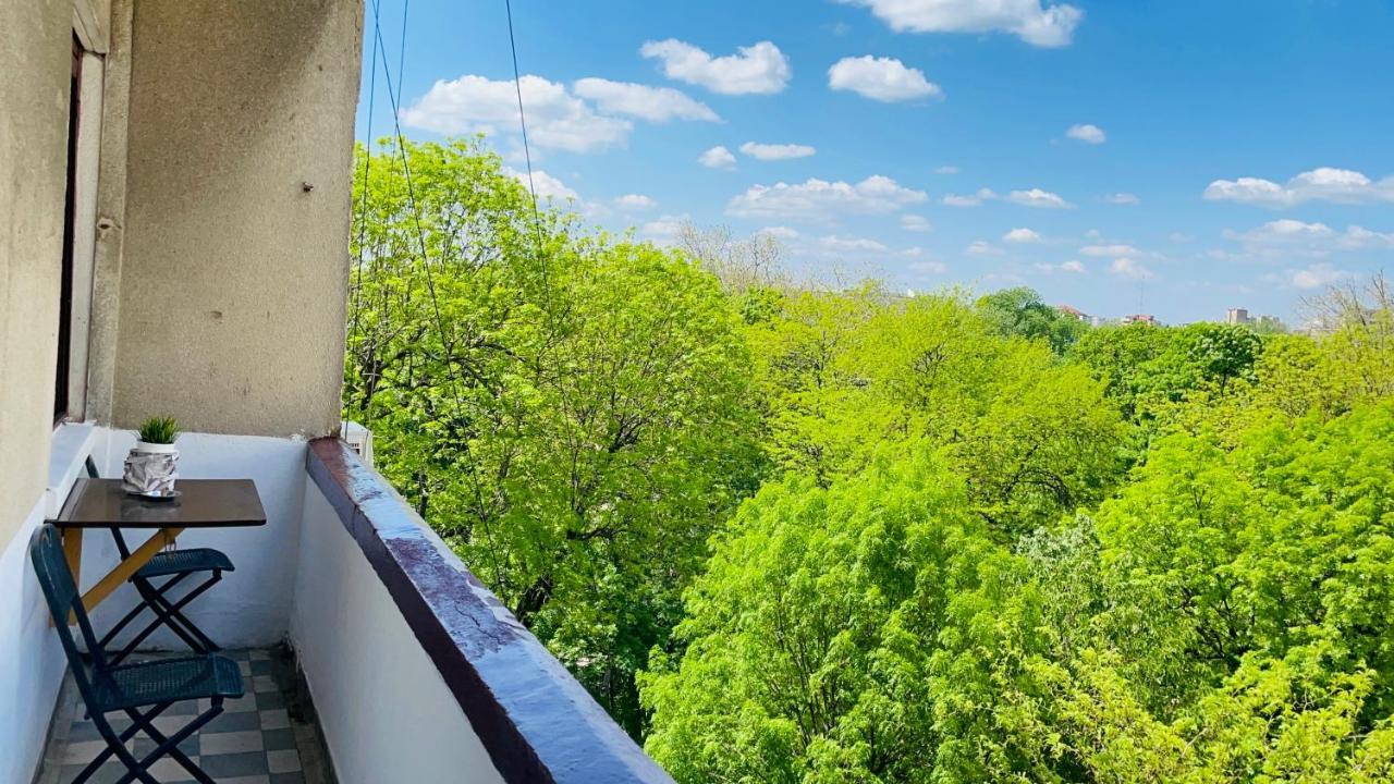 Cismigiu Park View 公寓 布加勒斯特